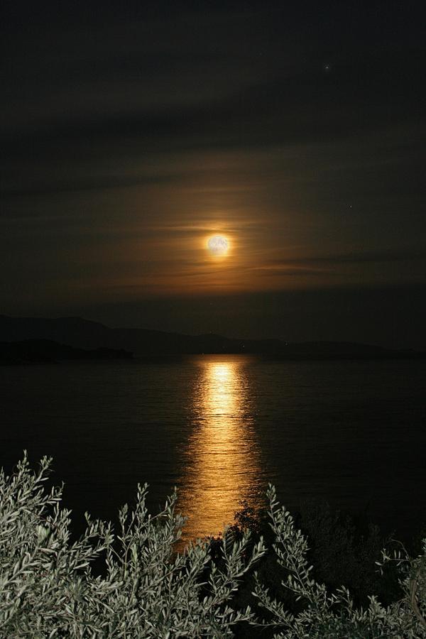 Vassilias Beach Vasilias  Luaran gambar