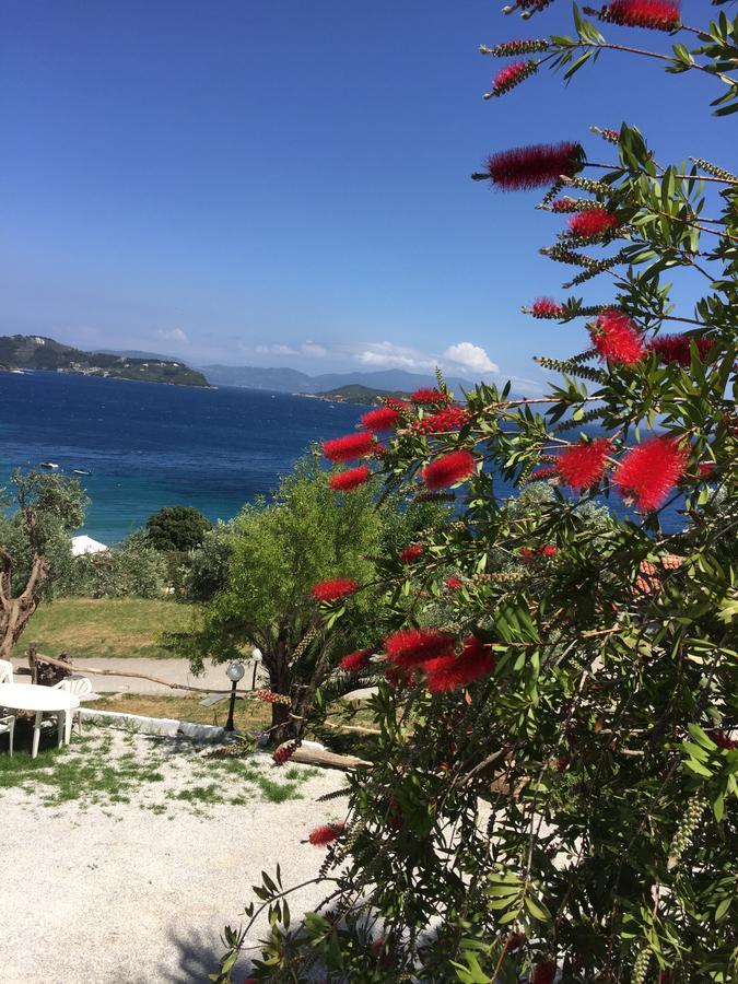 Vassilias Beach Vasilias  Luaran gambar